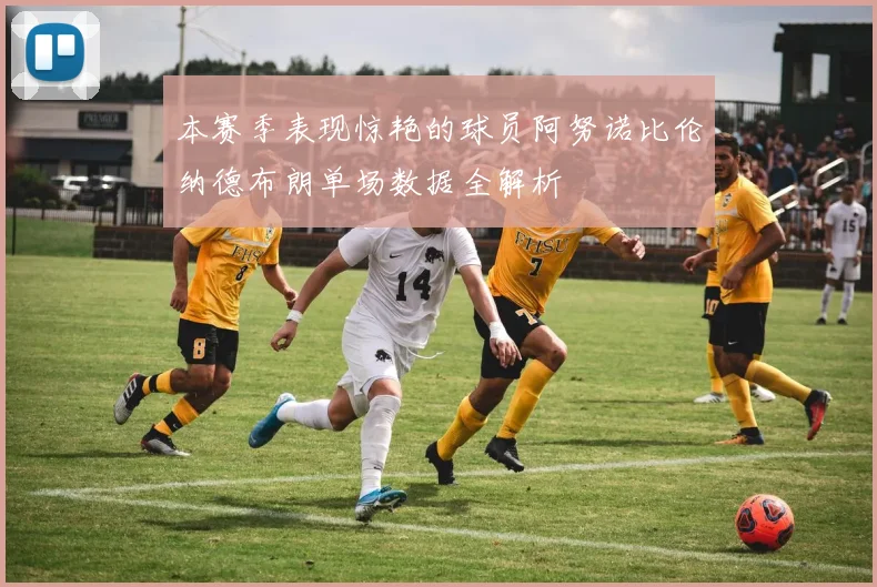 本赛季表现惊艳的球员阿努诺比伦纳德布朗单场数据全解析